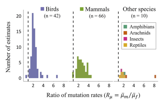 How much does the unguarded X contribute to sex differences in life span?