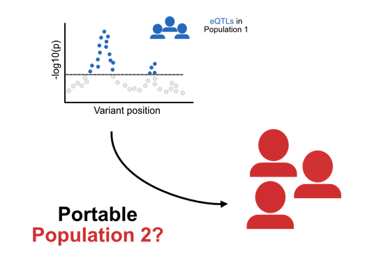 Predicting the cross population portability of human eQTLs